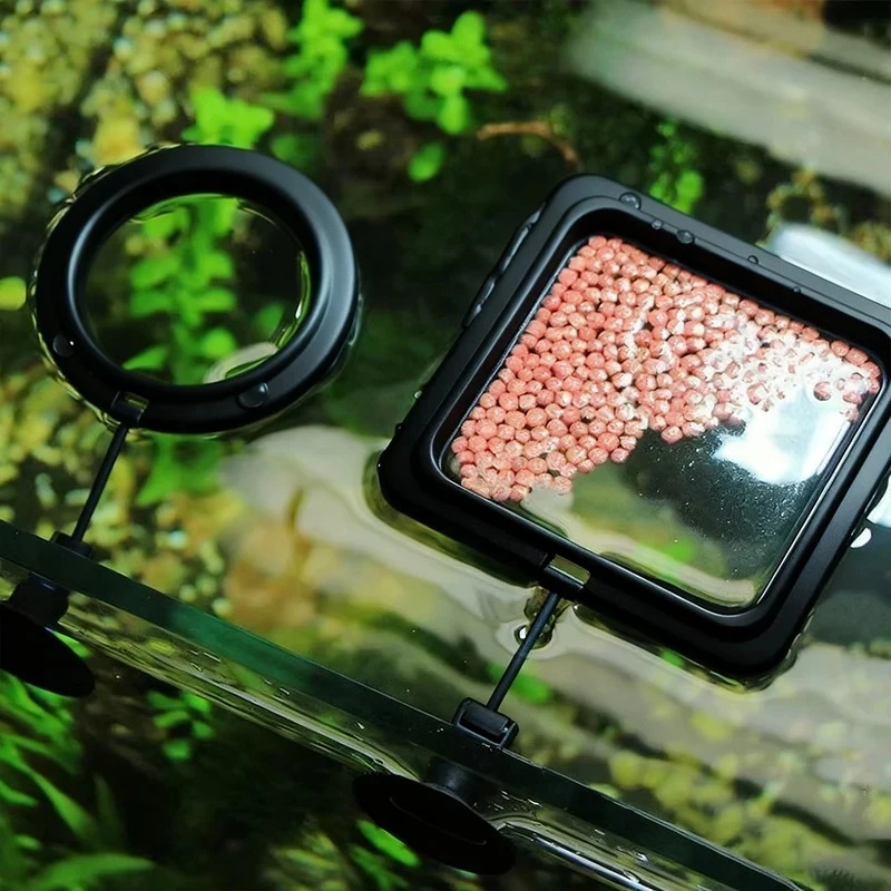 Aquarium Fish Auto Feeder - 1/3 adet Akvaryum Balık Besleme Halkası