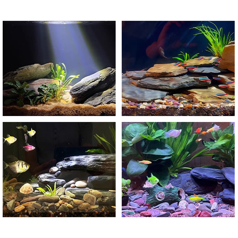 500/1000g Balık Tankı Peyzaj T - Fish Aquarium Home incelemesi ve fiyatı