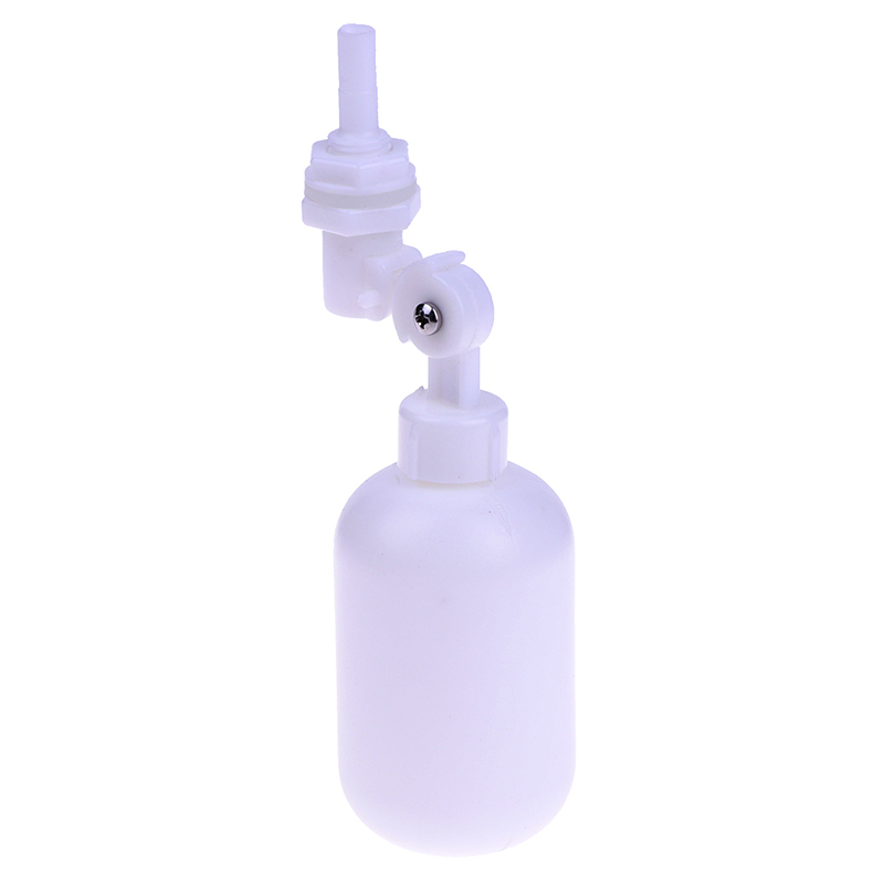 Sıcak Fırsat Sıcak Fırsat 1 Ad - Aquarium Fish For Sale incelemesi ve fiyatı