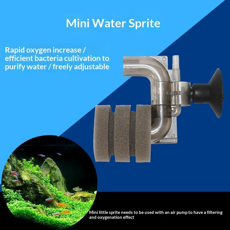 Sıcak Satış-Mini Akvaryum Süng - Aquarium Fish For Sale incelemesi ve fiyatı