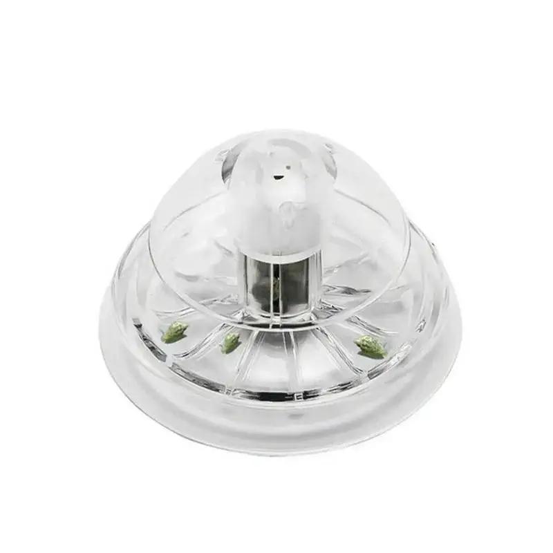 2026 Yeni 6/8CM Şeffaf Plastik - Aquarium Fish Farm incelemesi ve fiyatı