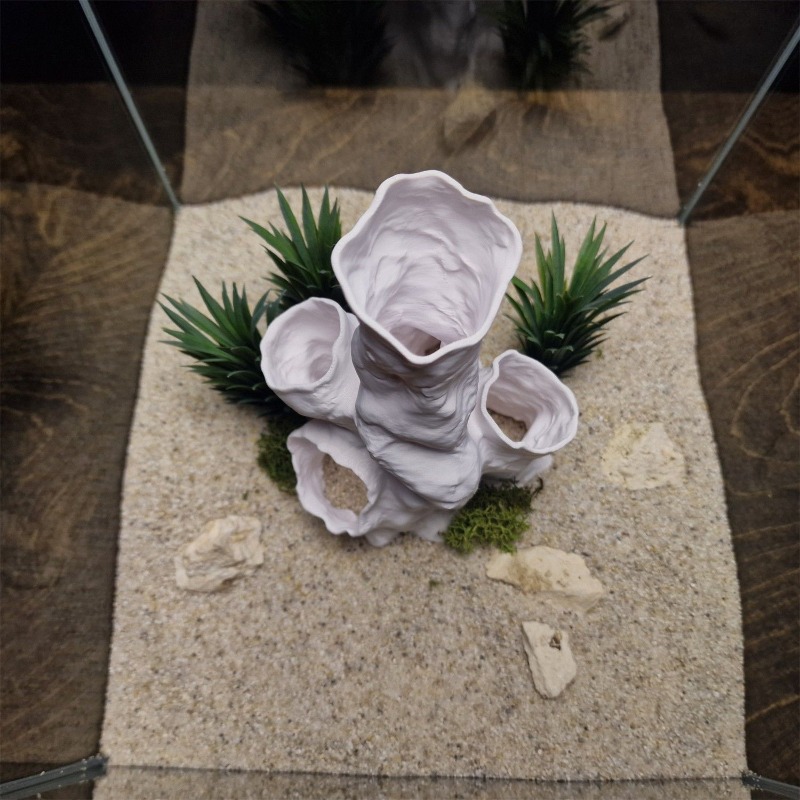 Sıcak Fırsat 3D Baskılı Mercan - Aquarium Fish For Sale incelemesi ve fiyatı