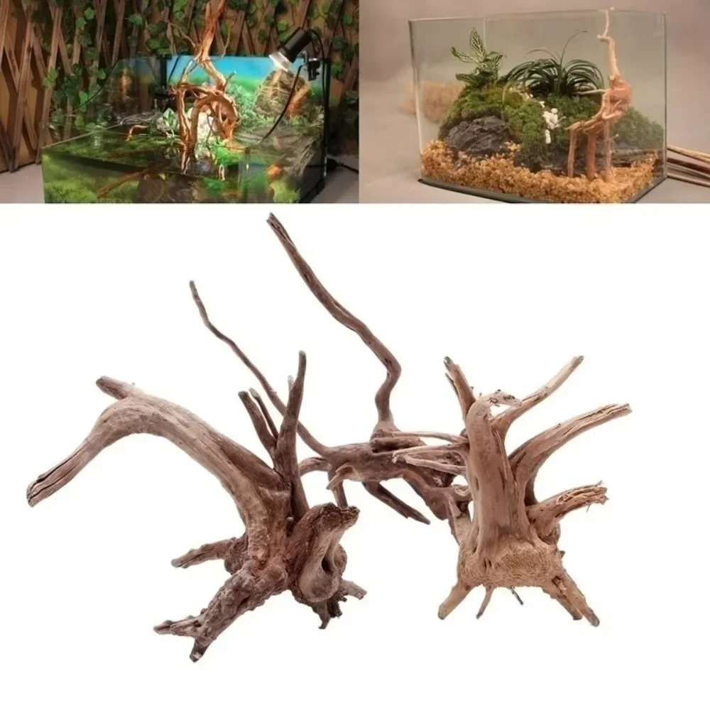 15-20CM Doğal Kök Ağacı Akvary - Aquarium Fish Farm incelemesi ve fiyatı