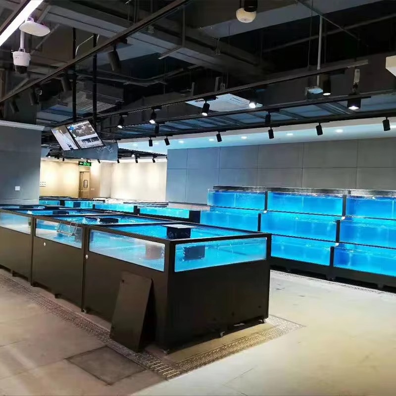 Kare Cam Tatlı Su Balık Tankı  - Aquarium Xxl incelemesi ve fiyatı