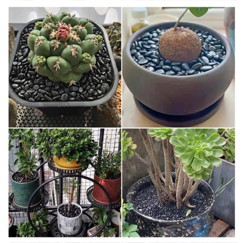 Beyaz ve Siyah Cilalı Nehir Ta - Aquarium Decoration Rock incelemesi ve fiyatı