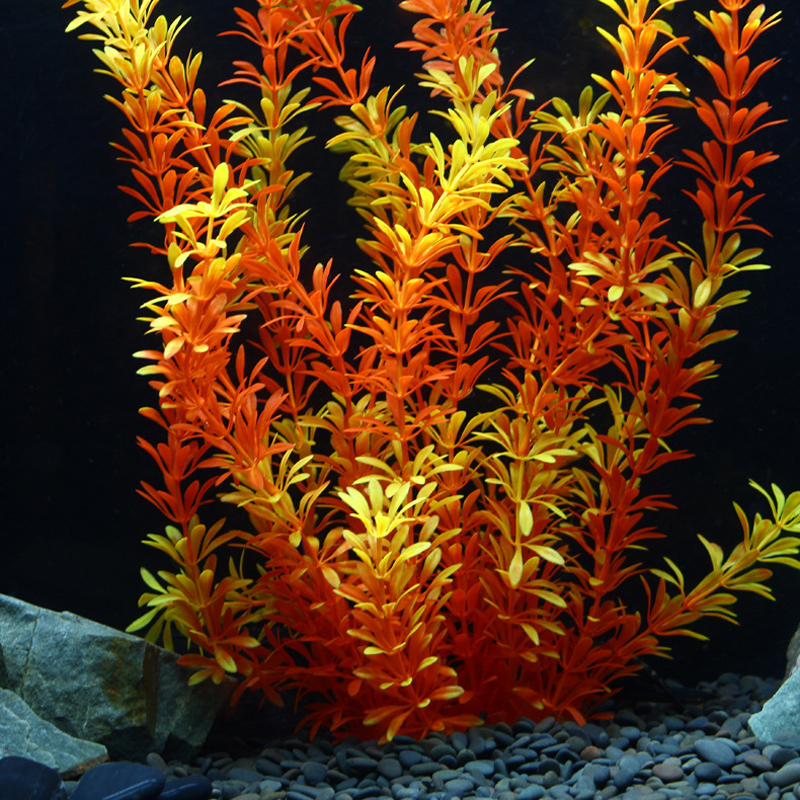 100cm Tropikal Bitkiler Büyük  - Aquarium Fish Farm incelemesi ve fiyatı