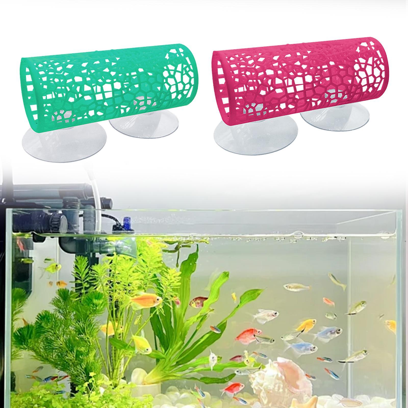 Betta -Tünel -Saklanma Yeri, B - Aquarium Fisch incelemesi ve fiyatı