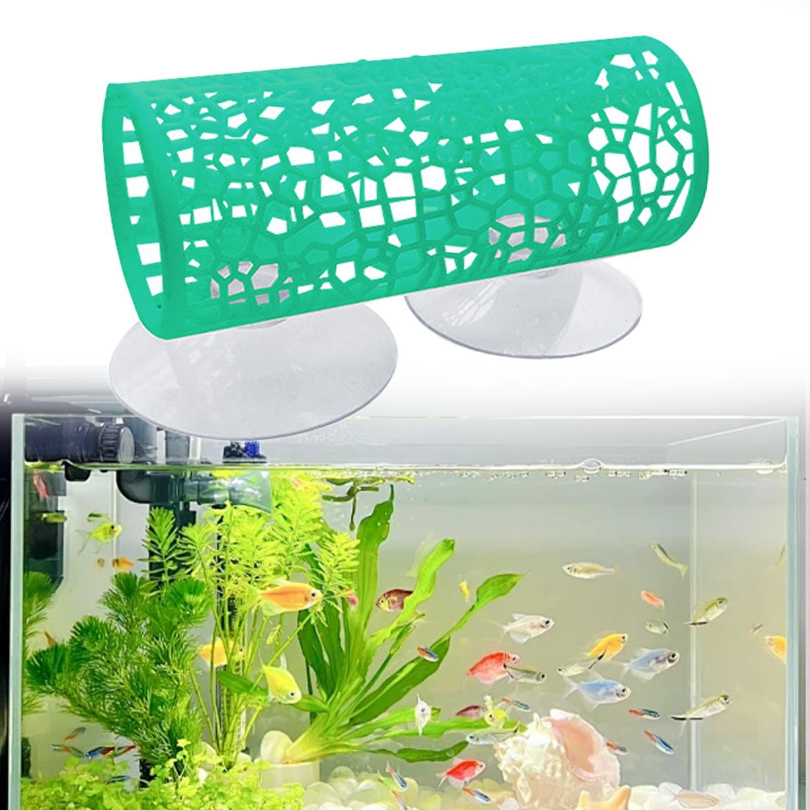 Betta -Tünel -Saklanma Yeri, B - Aquarium Fisch incelemesi ve fiyatı