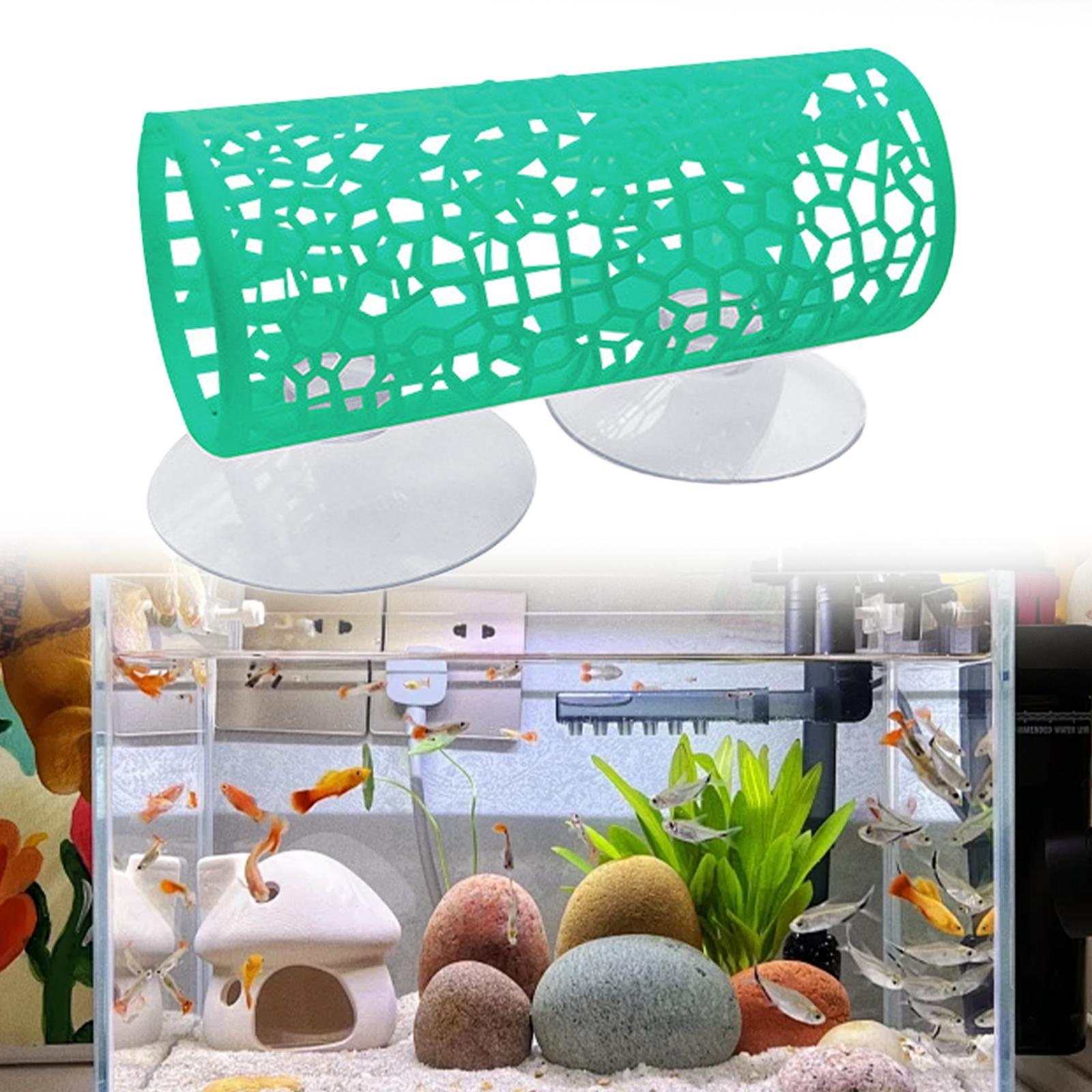 Betta -Tünel -Saklanma Yeri, B - Aquarium Fisch incelemesi ve fiyatı