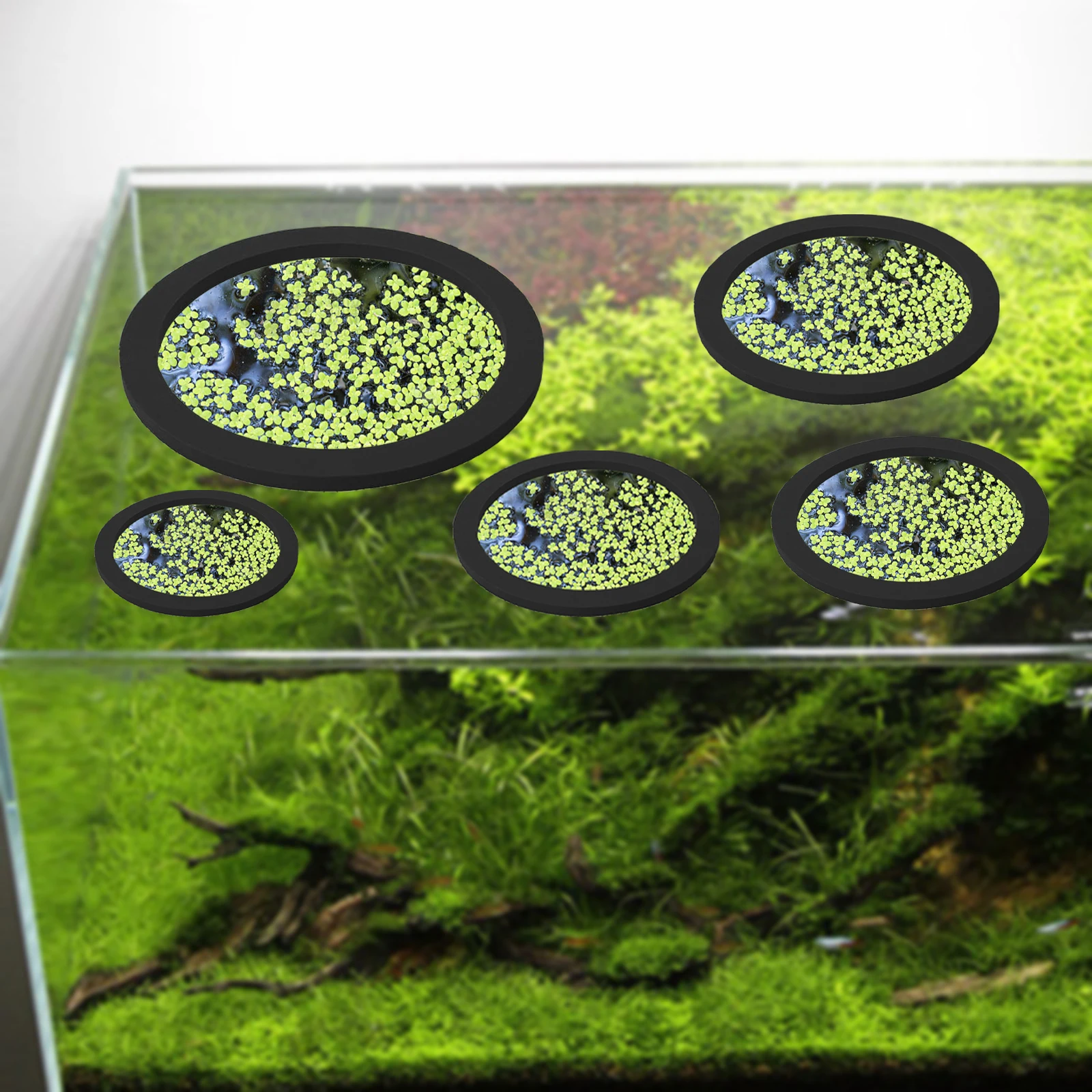 5 adet EVA balık besleme halka - Fish Aquarium Home incelemesi ve fiyatı