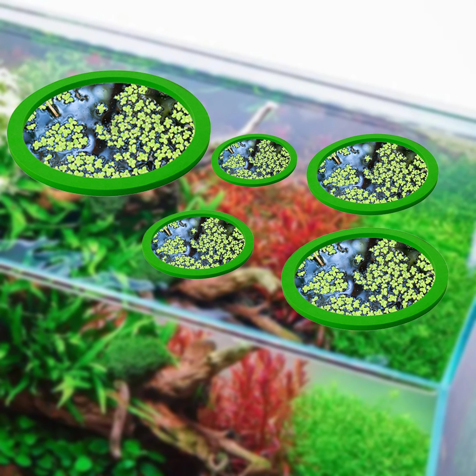 5 adet EVA balık besleme halka - Fish Aquarium Home incelemesi ve fiyatı