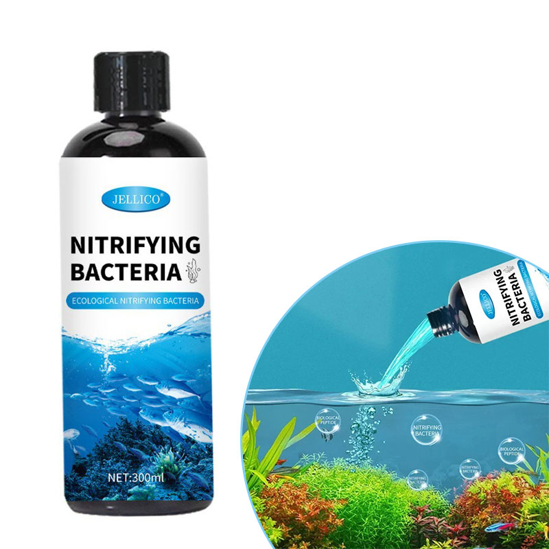 Nitrifikasyon Bakteri Sıvı Bal - Aquarium Fish Farm incelemesi ve fiyatı