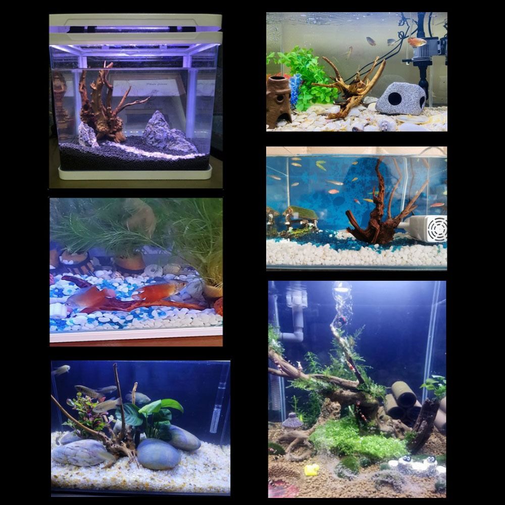 20-25CM Büyük Akvaryum Driftwo - Aquarium Xxl incelemesi ve fiyatı
