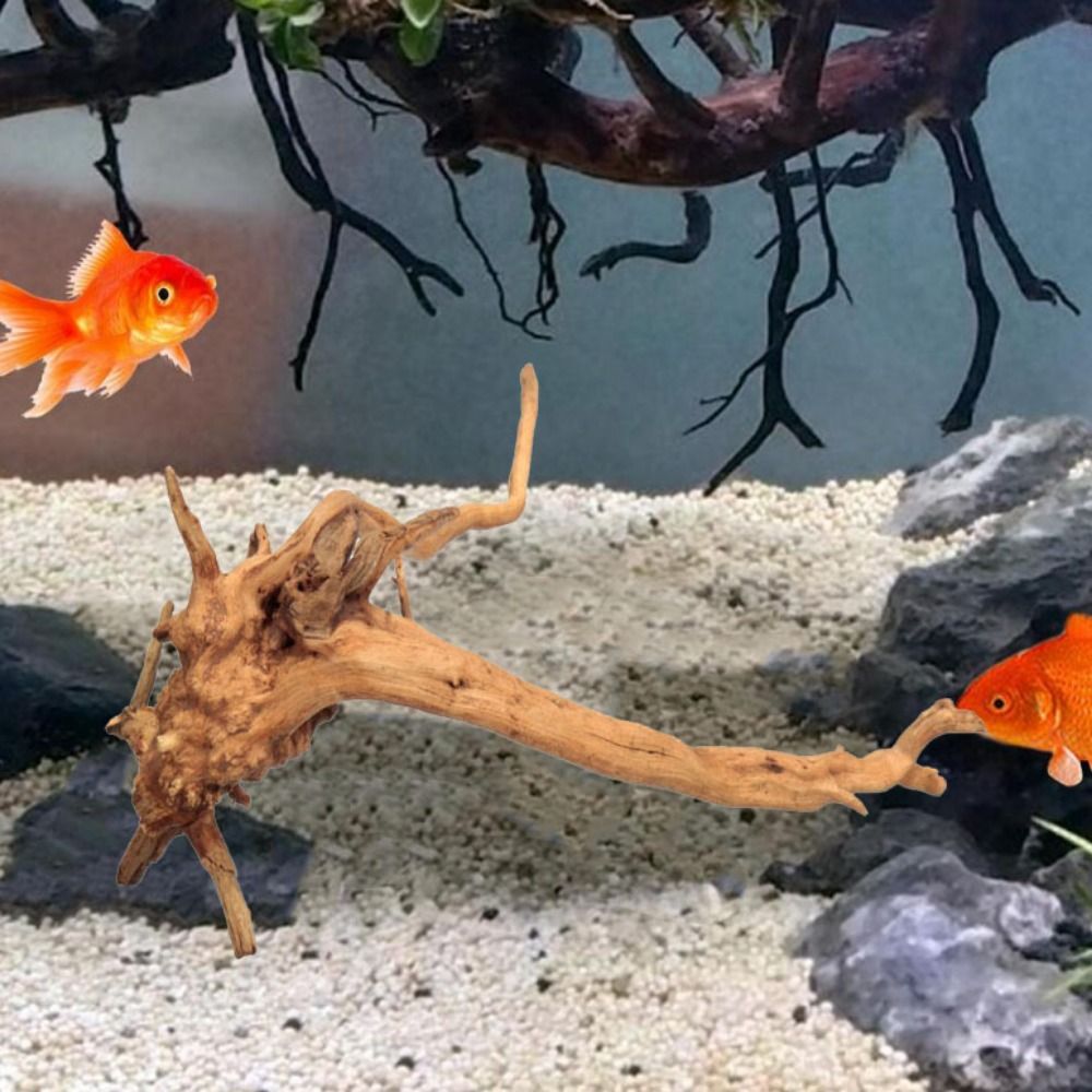 20-25CM Büyük Akvaryum Driftwo - Aquarium Xxl incelemesi ve fiyatı
