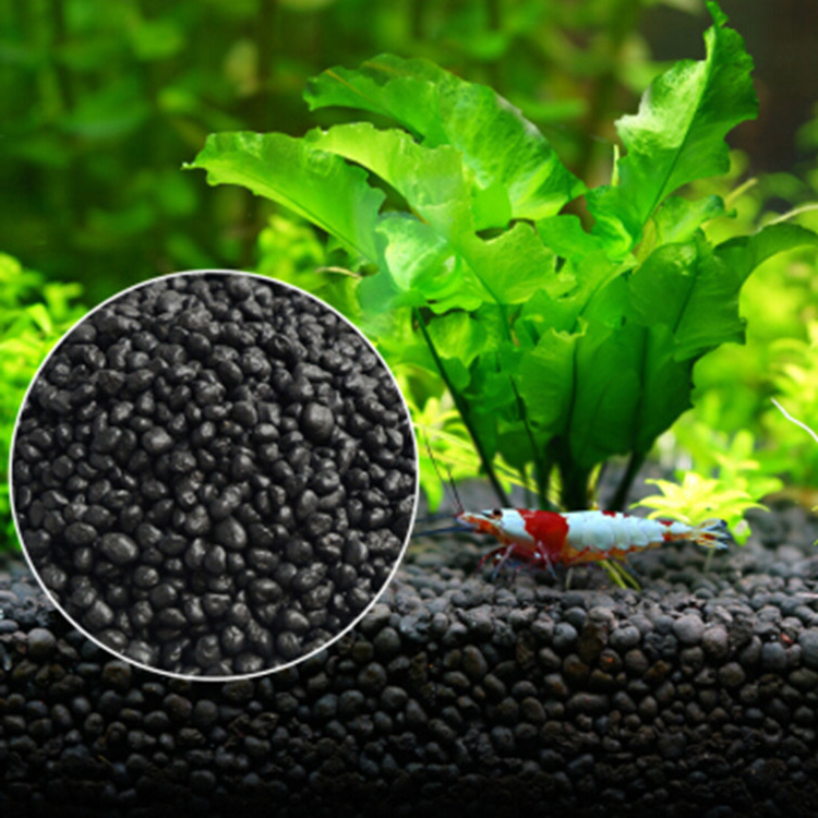 Akvaryum bitki tohumları topra - Aquarium Fish Farm incelemesi ve fiyatı