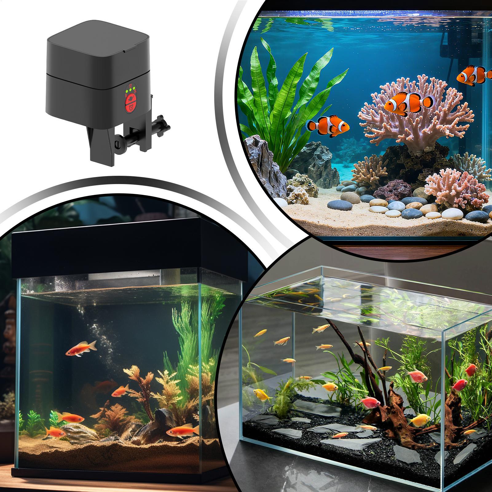 Akvaryum için Otomatik Balık B - Aquarium Fish Auto Feeder incelemesi ve fiyatı