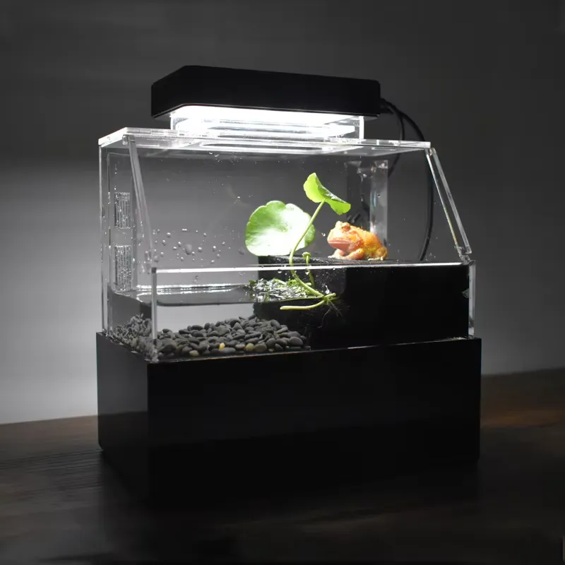Relaxlines Özel Tasarım Masaüs - Aquarium Fish For Sale incelemesi ve fiyatı